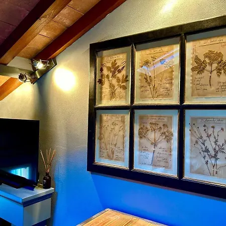 Apartment Comfort And Art Parma